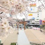 Utsunomiya Futawarasan Shrine