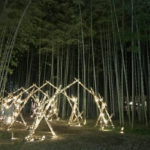 Beautiful bamboo arch lit up at night (Wakayama bamboo Farm)