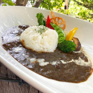 Delicious Japanese Black(Dark) Curry with seasonal vegetables