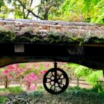 File_002 (5)