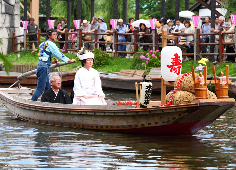 Suigo Itako Iris Festival (Suigo Itako Ayame Festival)