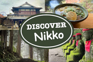 Discover Central Nikko 400